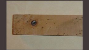 Premiere Pest Patrol can spot the signs of bedbug infestations such as fecal spots and eliminate the infestation Premiere Pest Patrol can spot the signs of bedbug infestations such as fecal spots and eliminate the infestation